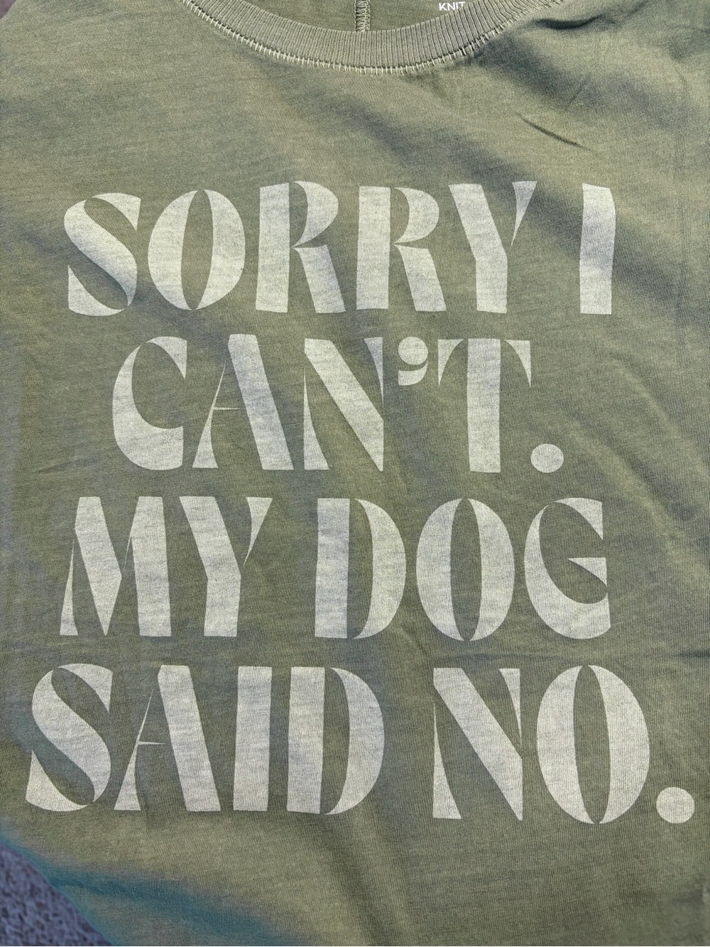 New Torrid Tee T-shirt Sorry I Can't My Dog Said No sz 2 2X Heritage Knit - Picture 4 of 6